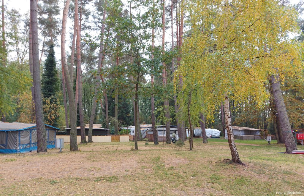 Stellplätze in Strandnähe